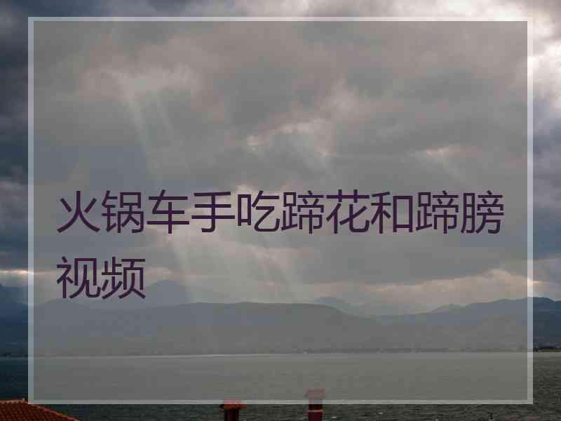 火锅车手吃蹄花和蹄膀视频