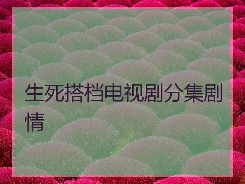 生死搭档电视剧分集剧情