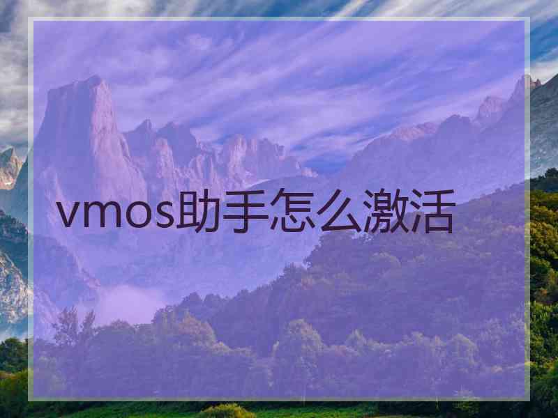 vmos助手怎么激活