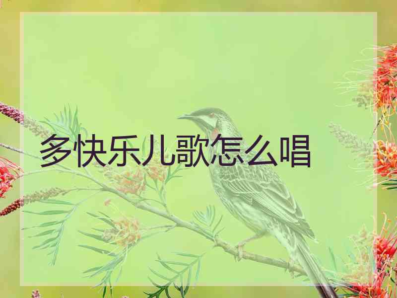 多快乐儿歌怎么唱
