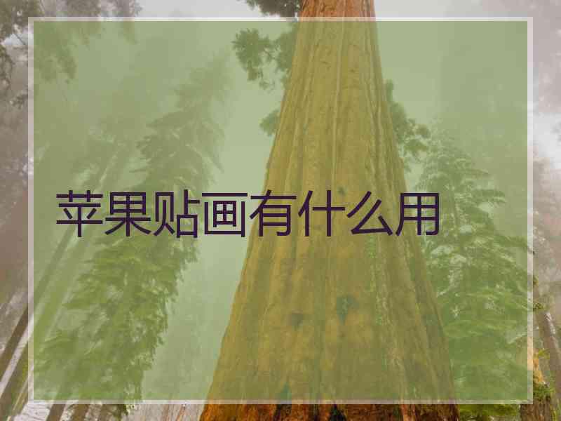 苹果贴画有什么用