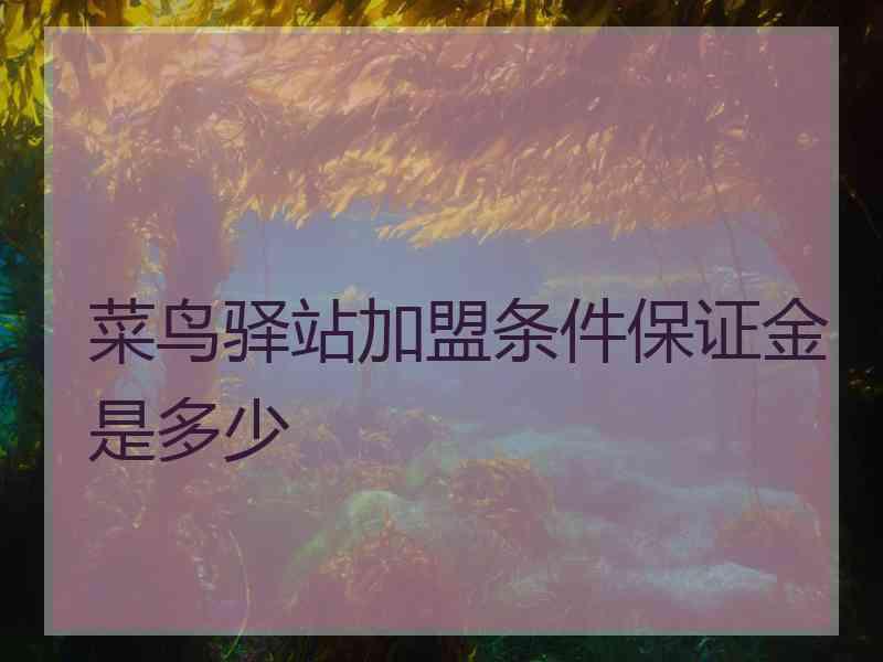 菜鸟驿站加盟条件保证金是多少