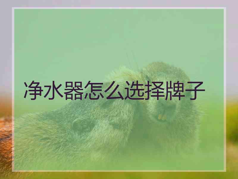净水器怎么选择牌子