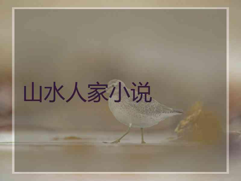山水人家小说