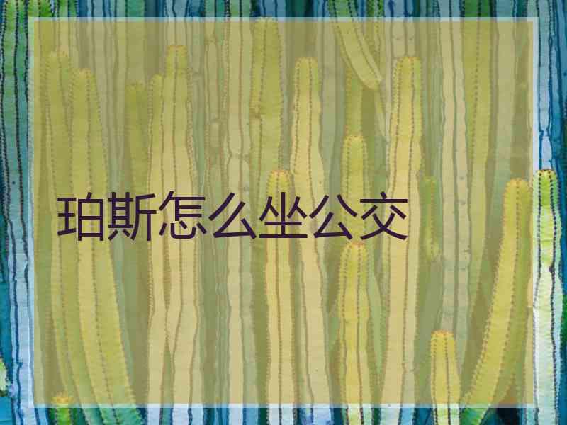 珀斯怎么坐公交