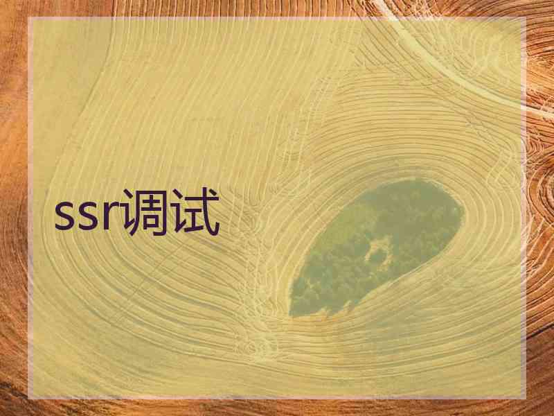 ssr调试