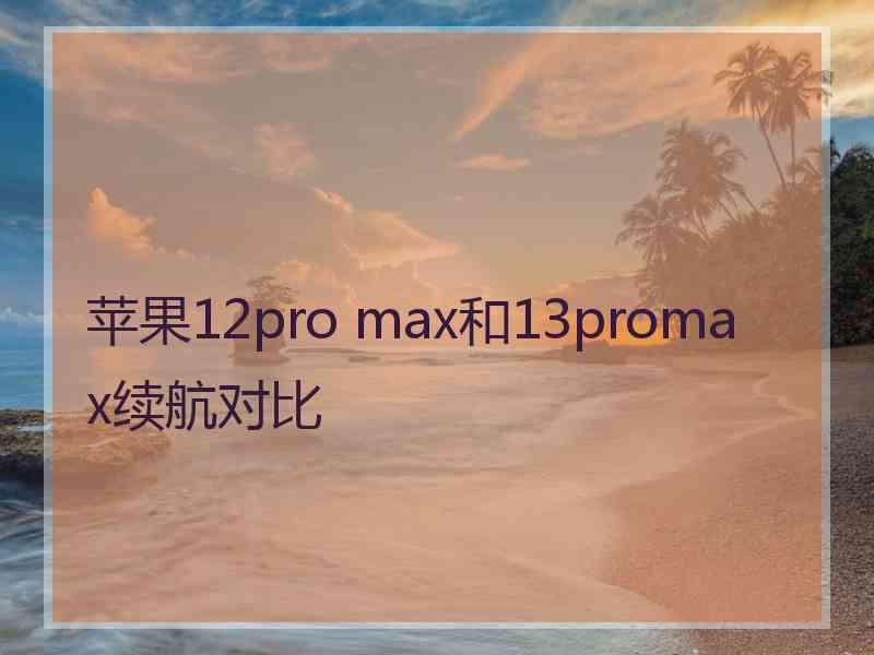苹果12pro max和13promax续航对比