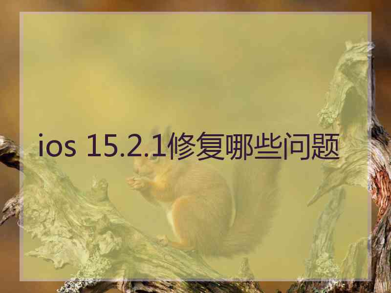 ios 15.2.1修复哪些问题