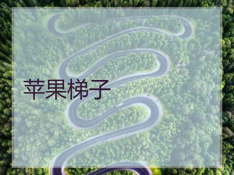苹果梯子
