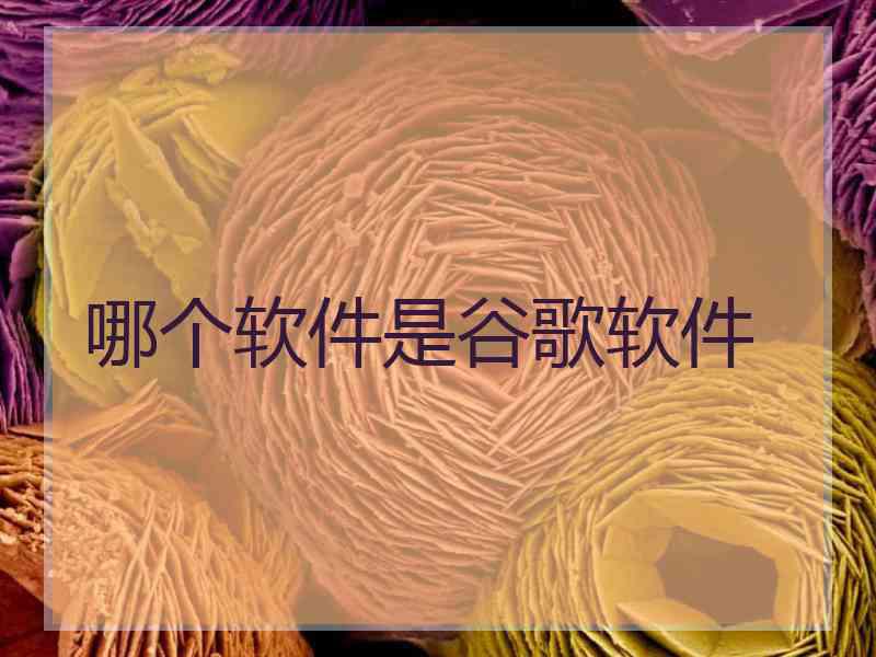 哪个软件是谷歌软件