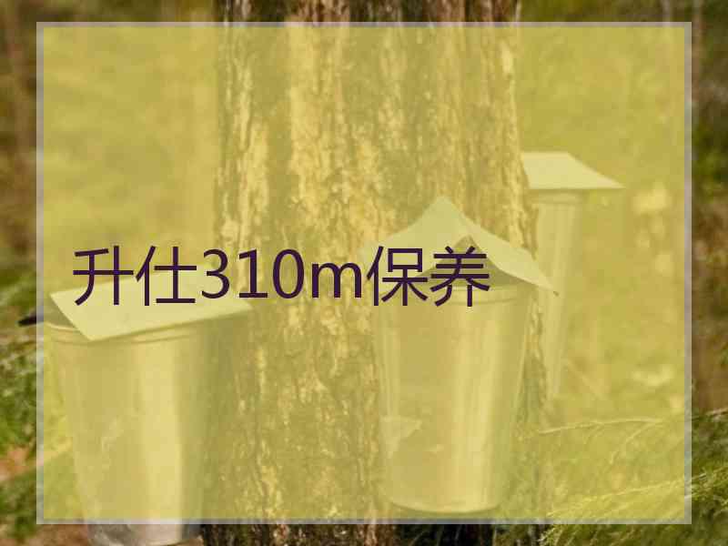 升仕310m保养