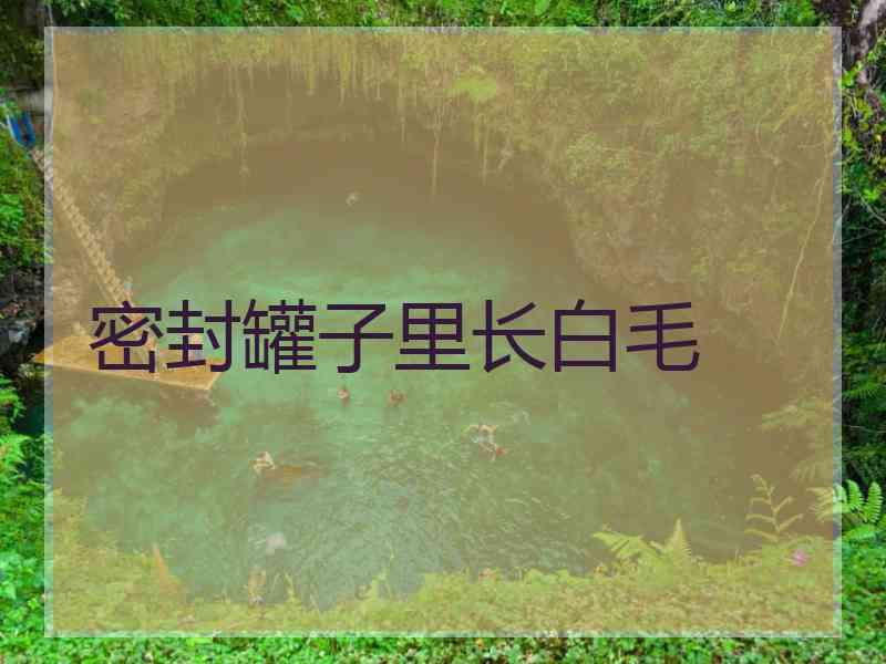 密封罐子里长白毛