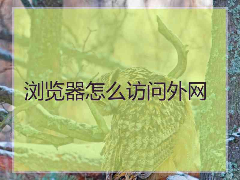 浏览器怎么访问外网