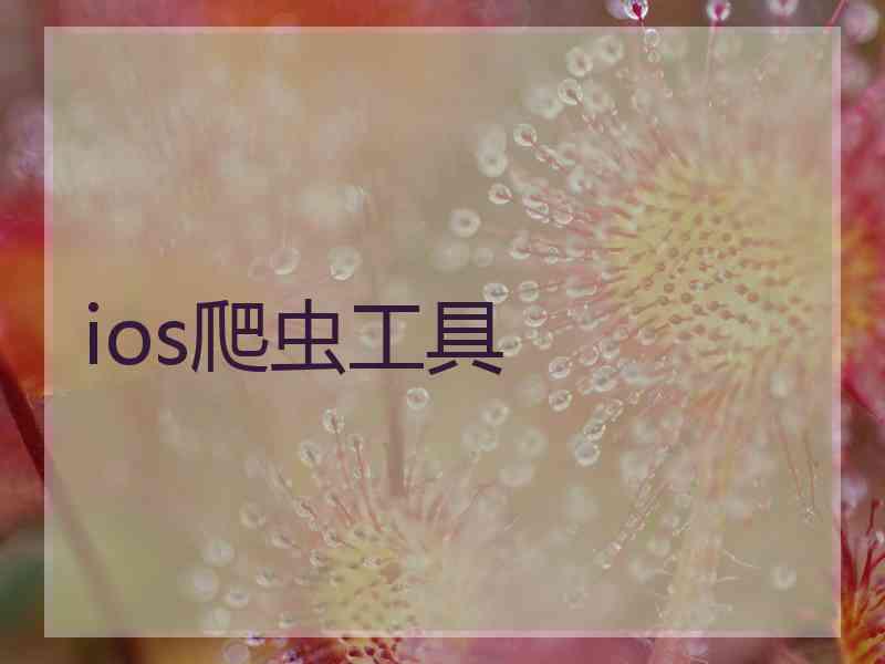 ios爬虫工具