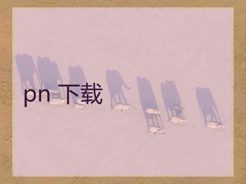pn 下载