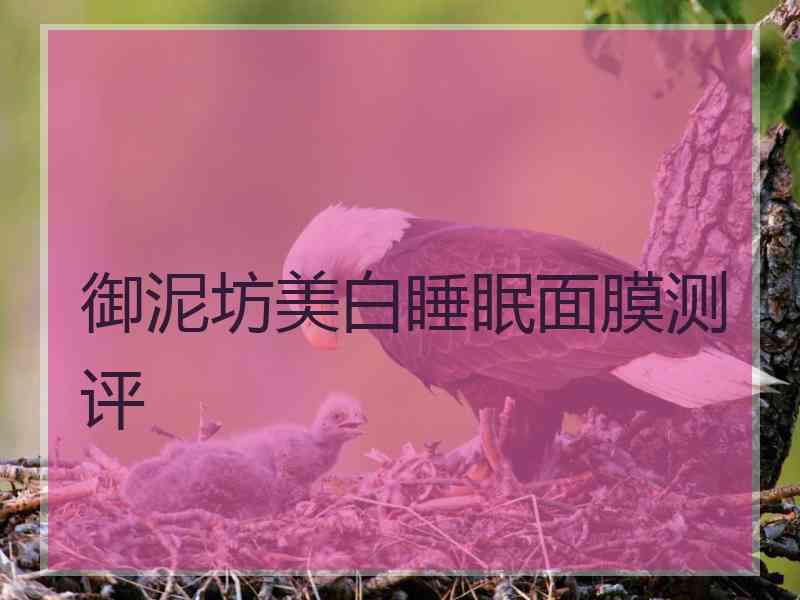 御泥坊美白睡眠面膜测评