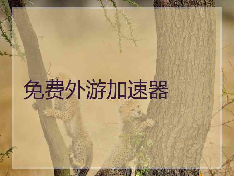 免费外游加速器