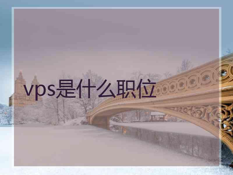 vps是什么职位