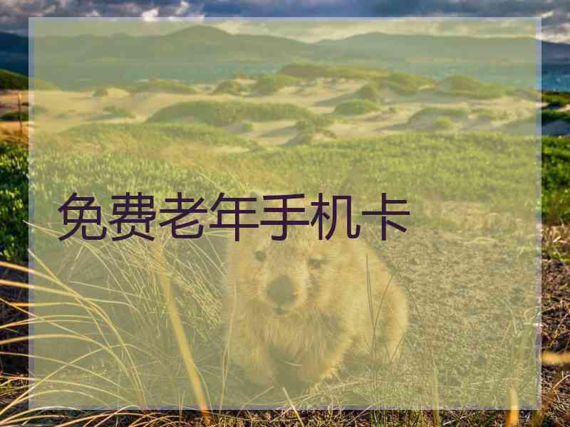 免费老年手机卡