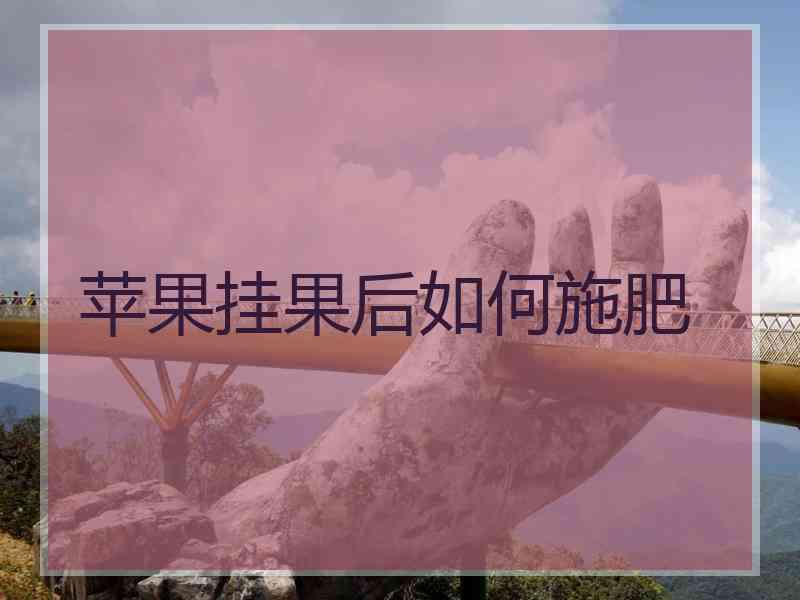 苹果挂果后如何施肥