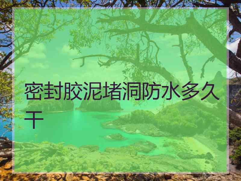 密封胶泥堵洞防水多久干