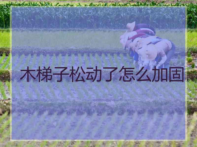 木梯子松动了怎么加固