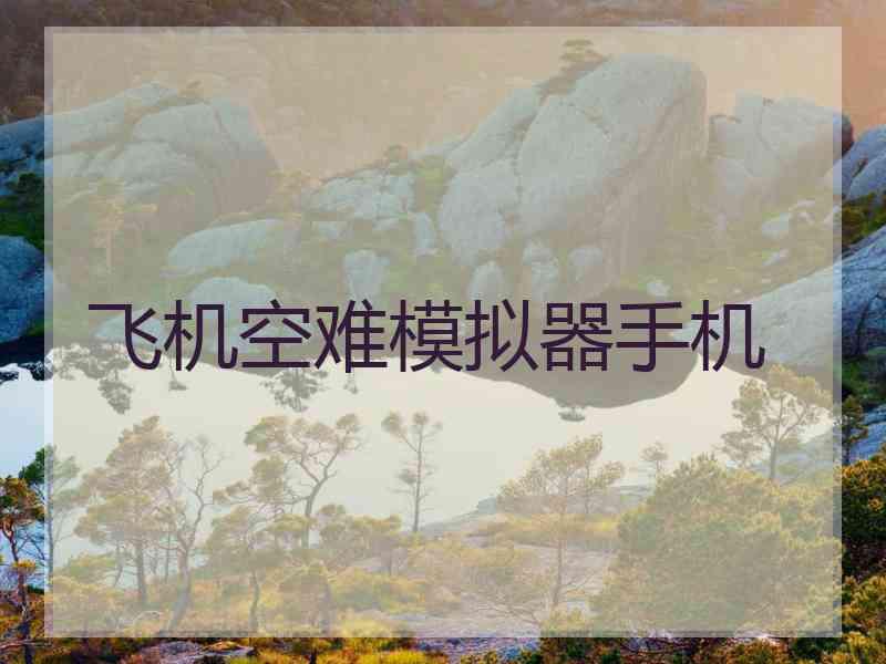 飞机空难模拟器手机