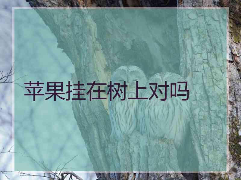 苹果挂在树上对吗