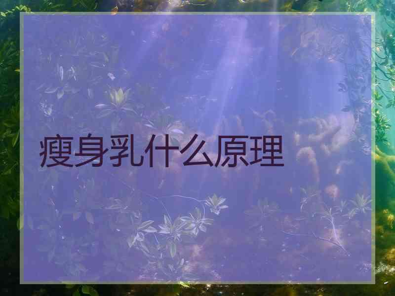 瘦身乳什么原理