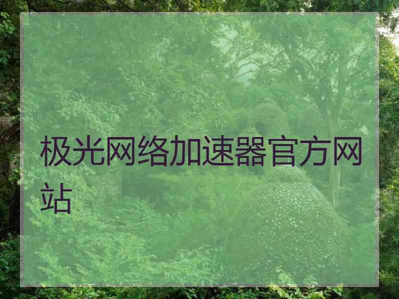 极光网络加速器官方网站