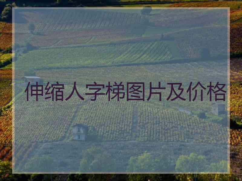 伸缩人字梯图片及价格