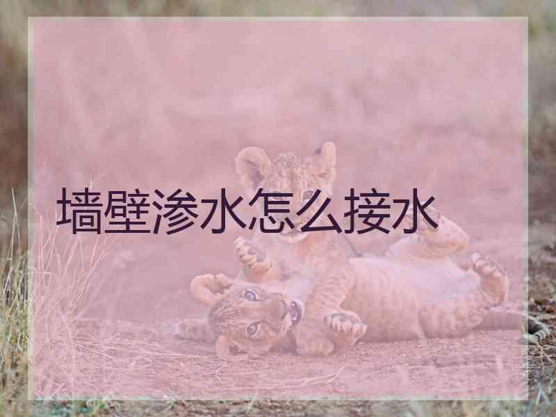 墙壁渗水怎么接水