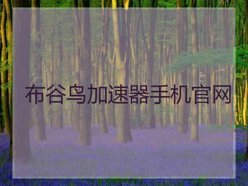 布谷鸟加速器手机官网