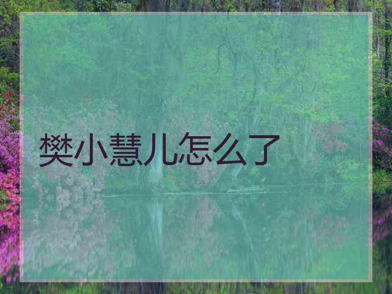 樊小慧儿怎么了