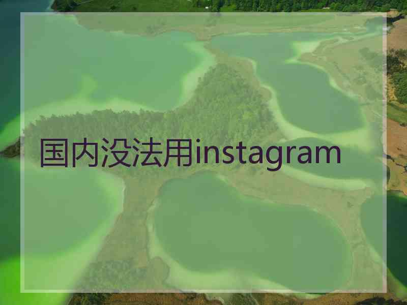 国内没法用instagram