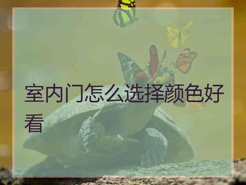 室内门怎么选择颜色好看