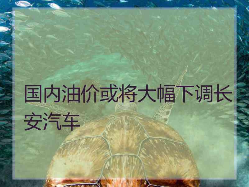 国内油价或将大幅下调长安汽车