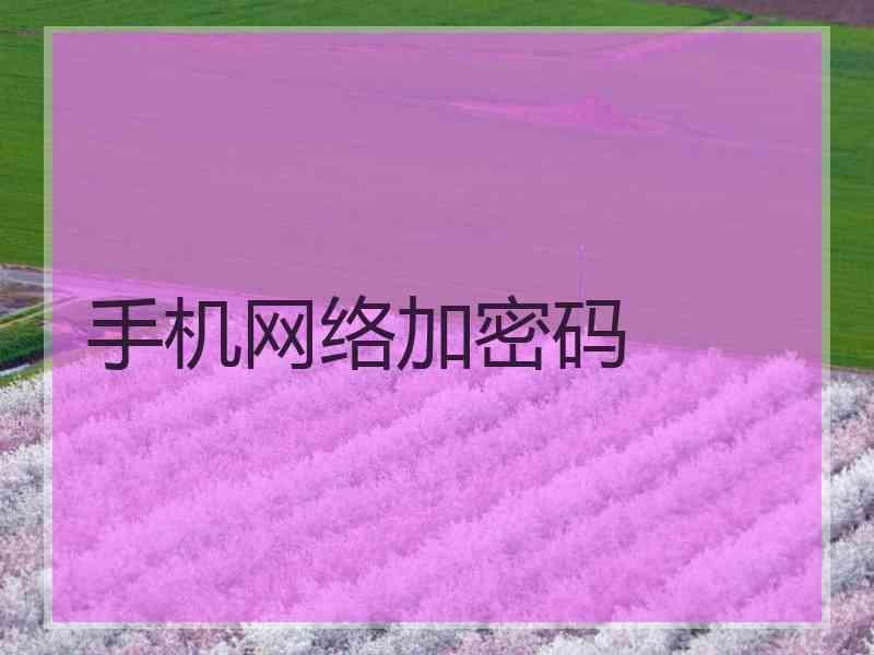 手机网络加密码