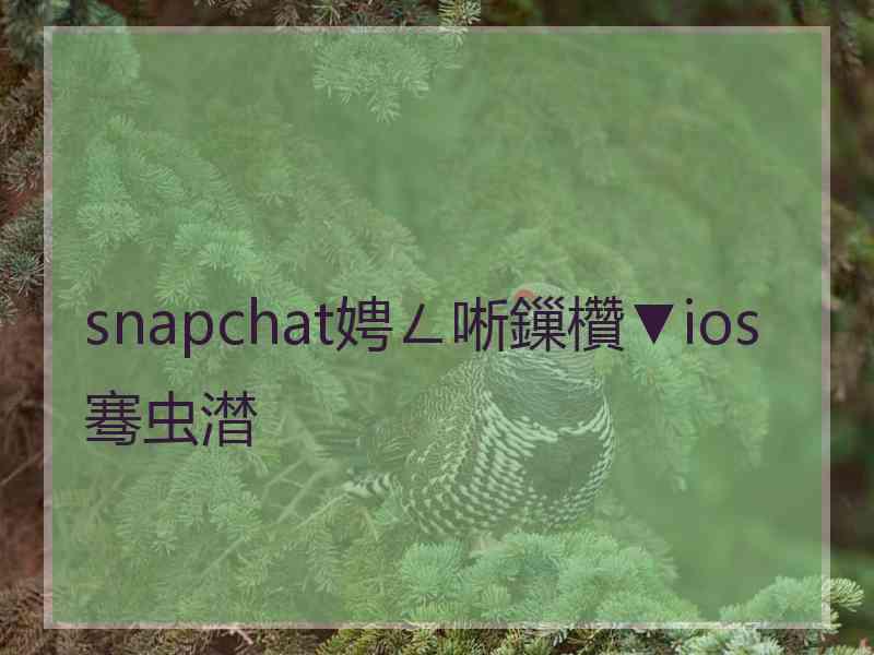 snapchat娉ㄥ唽鏁欑▼ios骞虫澘