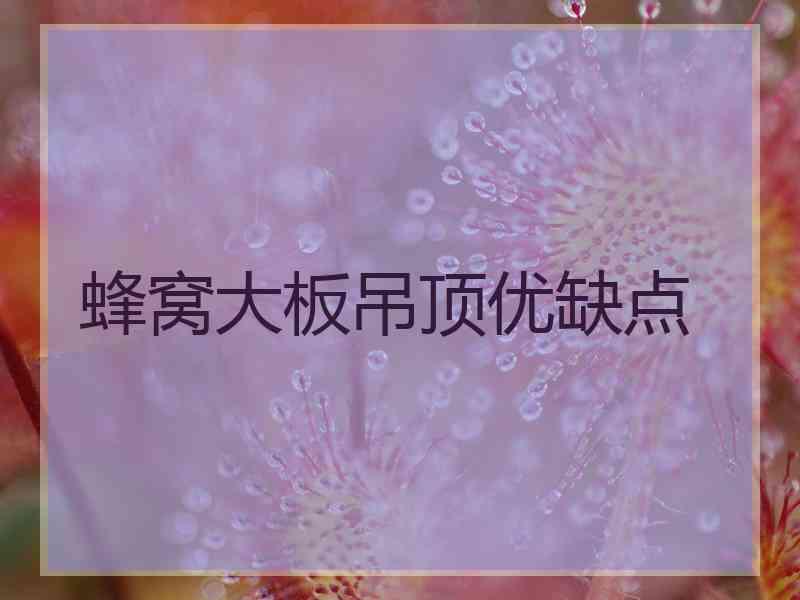 蜂窝大板吊顶优缺点