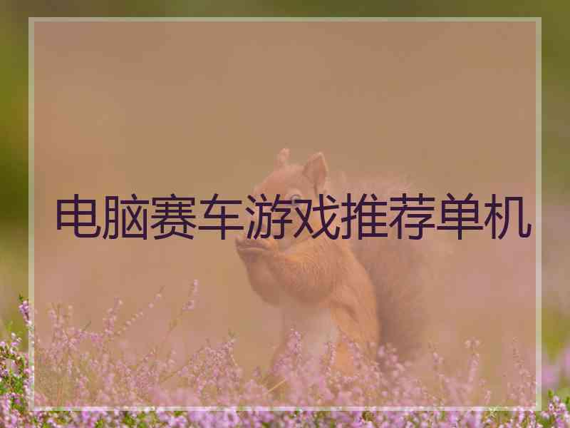 电脑赛车游戏推荐单机