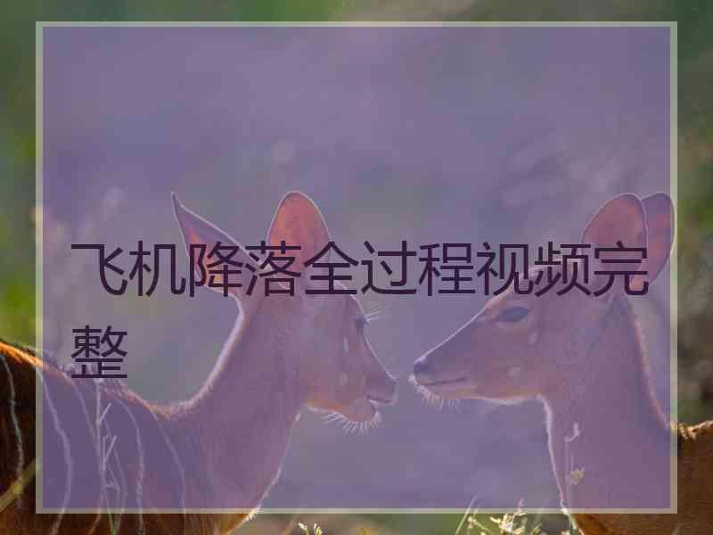 飞机降落全过程视频完整
