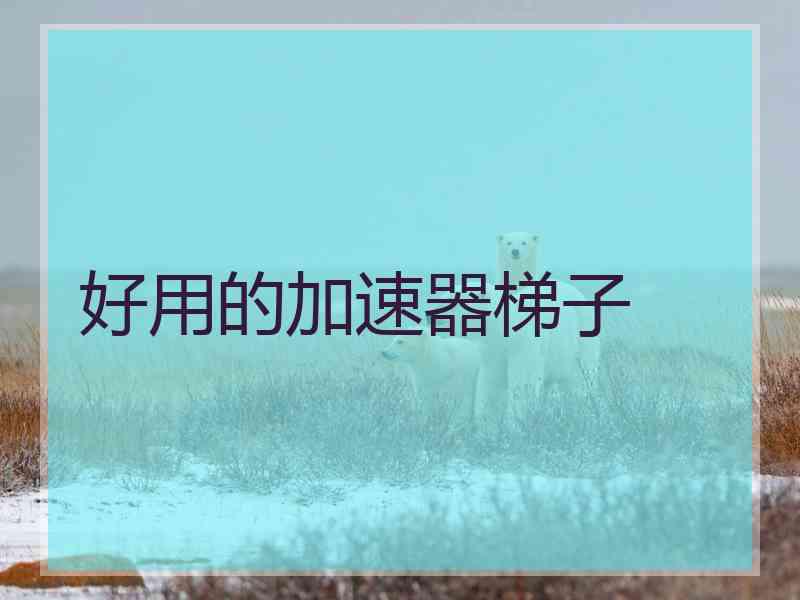 好用的加速器梯子