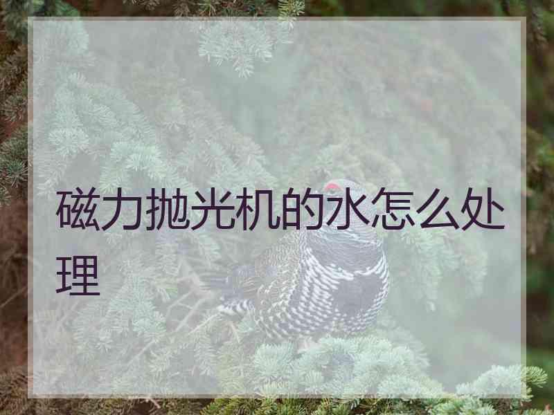 磁力抛光机的水怎么处理