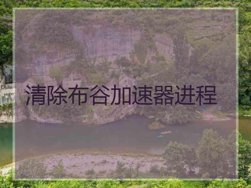 清除布谷加速器进程