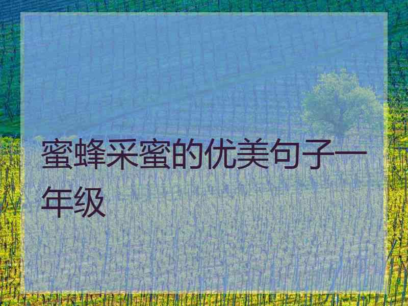 蜜蜂采蜜的优美句子一年级