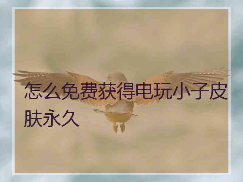怎么免费获得电玩小子皮肤永久