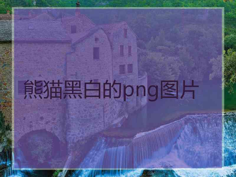 熊猫黑白的png图片