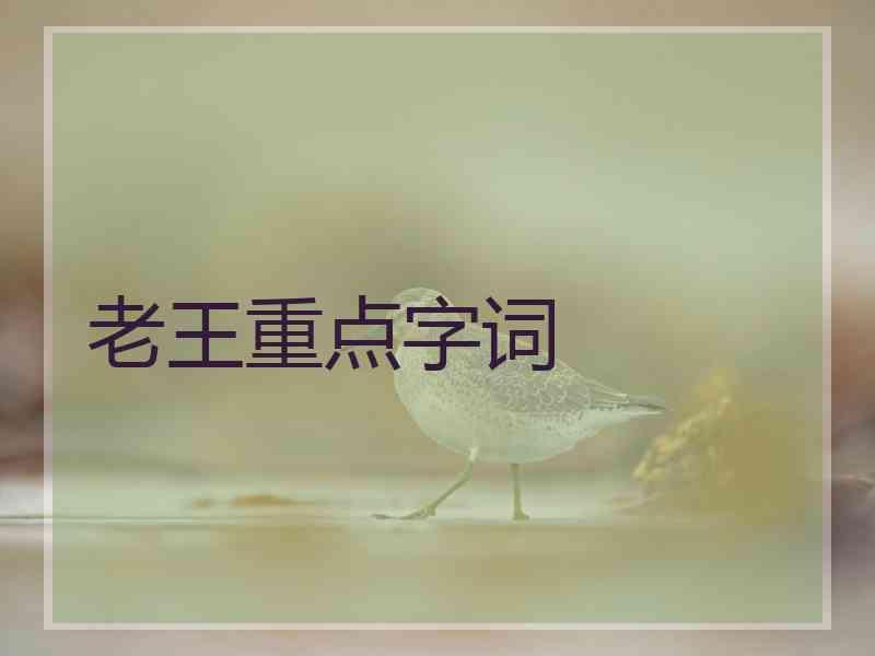 老王重点字词