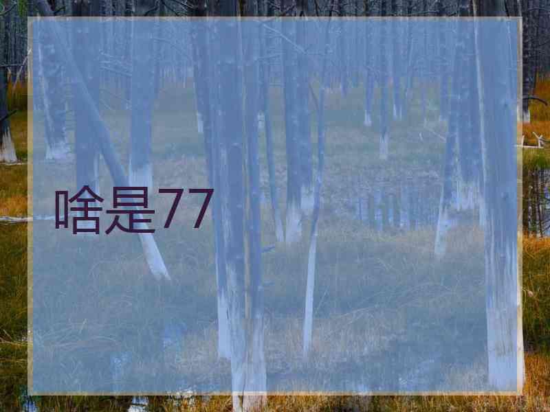 啥是77